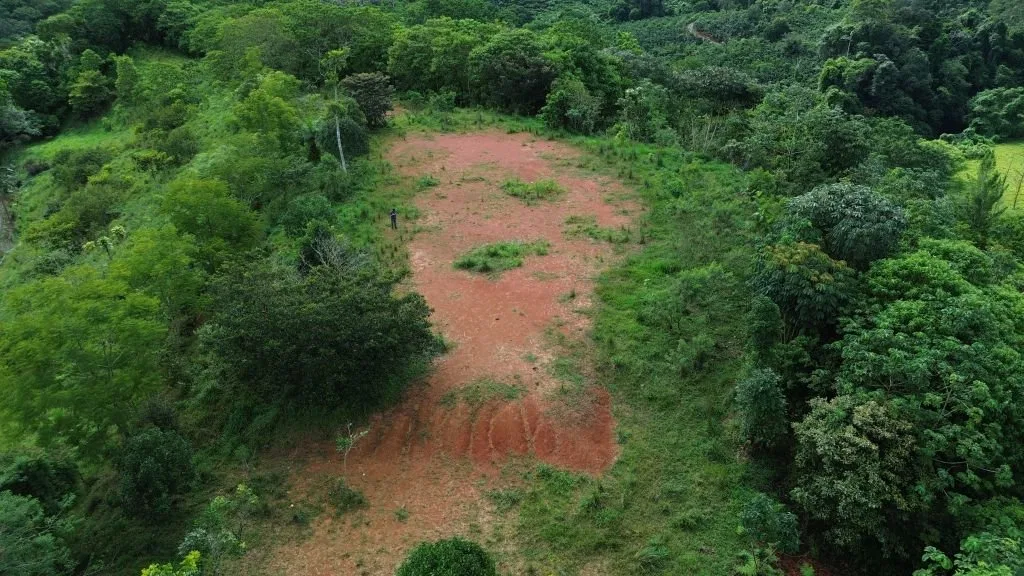 VENTA DE FINCA DE 8.1 HA CON DOS CASAS Y FRENTE DE RIO EN SAN PABLO, SAN PEDRO, PEREZ ZELEDON - Venta en Pérez Zeledón, photo 12