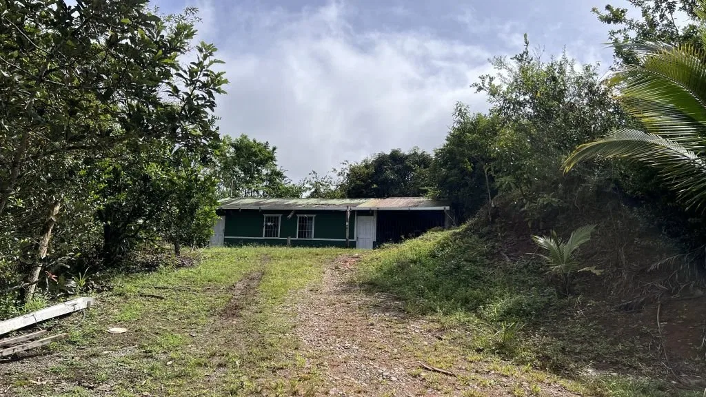 VENTA DE FINCA DE 8.1 HA CON DOS CASAS Y FRENTE DE RIO EN SAN PABLO, SAN PEDRO, PEREZ ZELEDON - Venta en Pérez Zeledón, photo 16