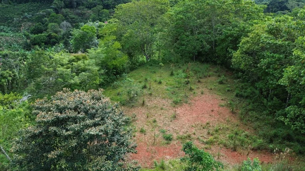 VENTA DE FINCA DE 8.1 HA CON DOS CASAS Y FRENTE DE RIO EN SAN PABLO, SAN PEDRO, PEREZ ZELEDON - Venta en Pérez Zeledón, photo 17