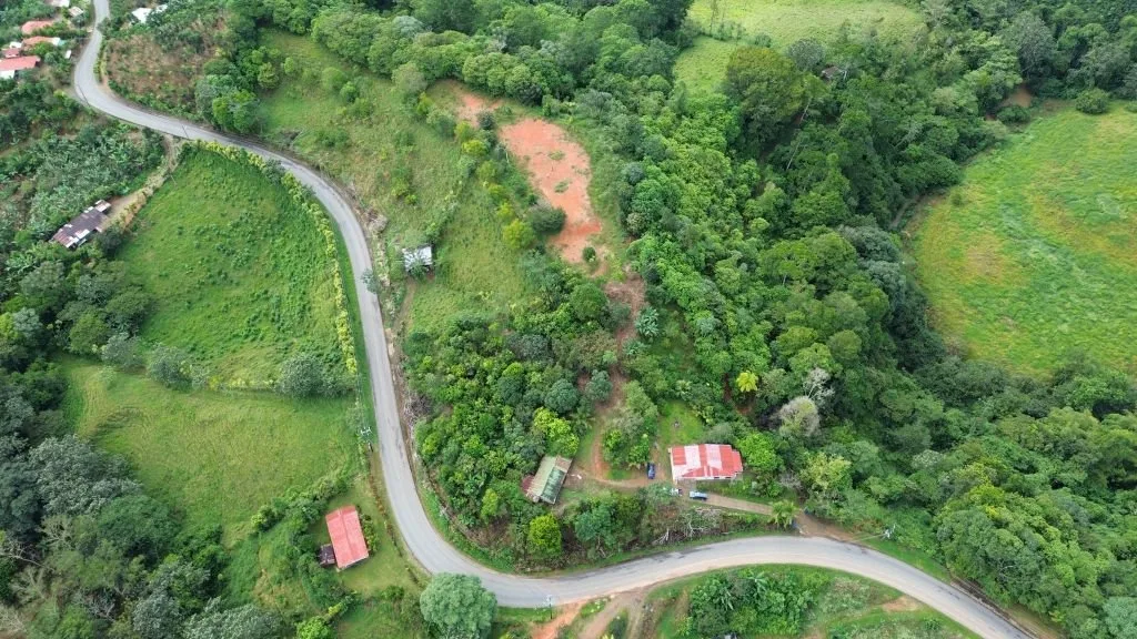 VENTA DE FINCA DE 8.1 HA CON DOS CASAS Y FRENTE DE RIO EN SAN PABLO, SAN PEDRO, PEREZ ZELEDON - Venta en Pérez Zeledón, photo 7