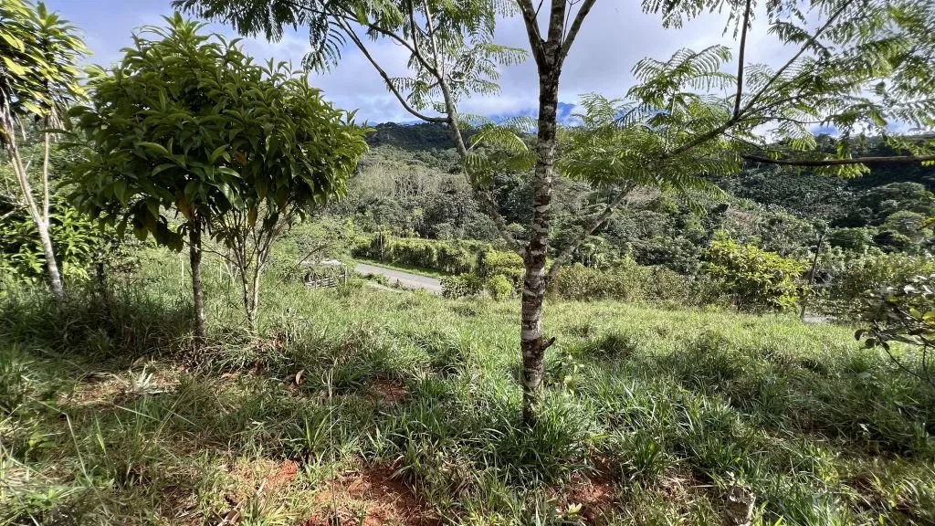 VENTA DE FINCA DE 8.1 HA CON DOS CASAS Y FRENTE DE RIO EN SAN PABLO, SAN PEDRO, PEREZ ZELEDON - Venta en Pérez Zeledón, photo 8