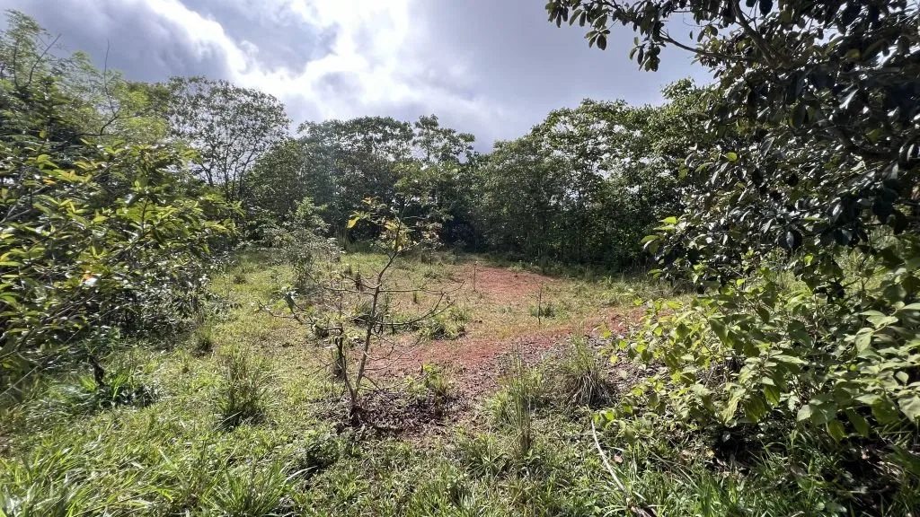 VENTA DE FINCA DE 8.1 HA CON DOS CASAS Y FRENTE DE RIO EN SAN PABLO, SAN PEDRO, PEREZ ZELEDON - Venta en Pérez Zeledón, photo 9