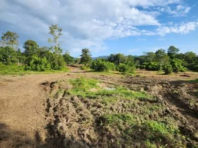 Terreno de 263.333 m² con Flora & Fauna Oportunidad de Inversión Sostenible en Entorno Excepcional, photo 2