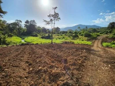 Terreno de 263.333 m² con Flora & Fauna Oportunidad de Inversión Sostenible en Entorno Excepcional, photo 3
