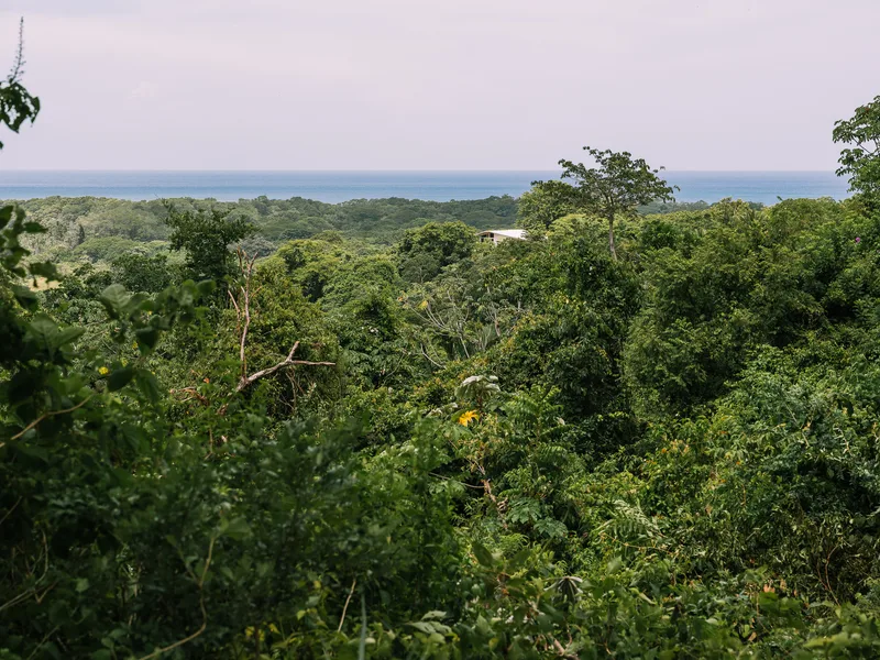 Land For Sale in Nosara, photo 2