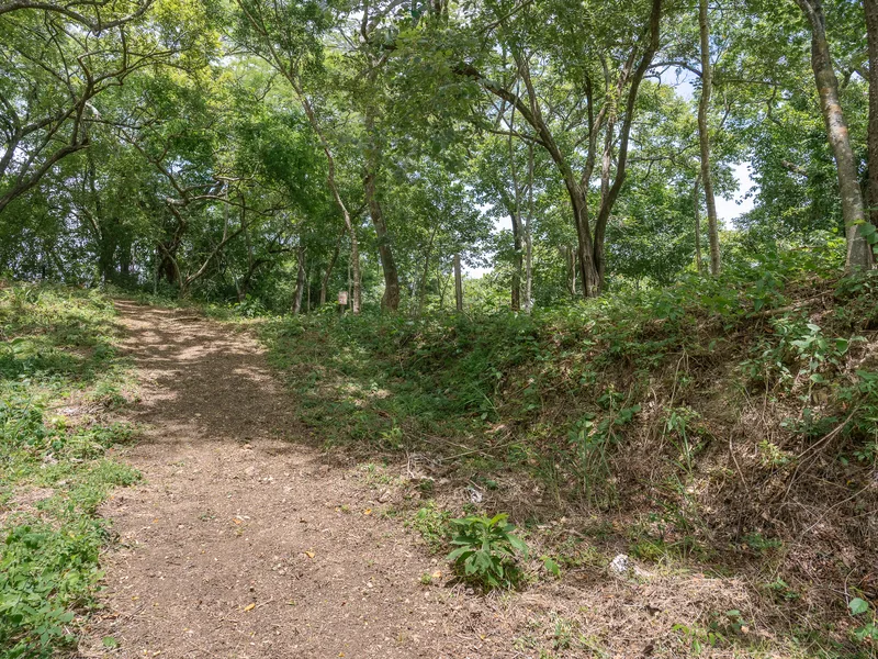Land For Sale in Nosara, photo 12