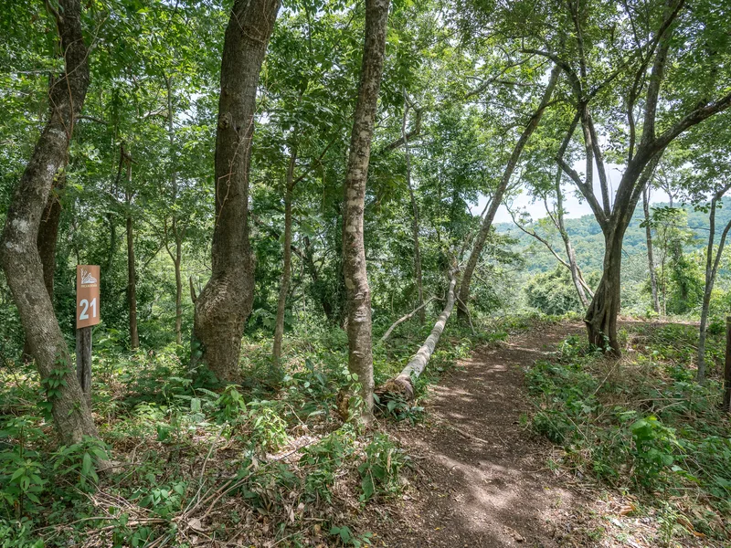 Land For Sale in Nosara, photo 13