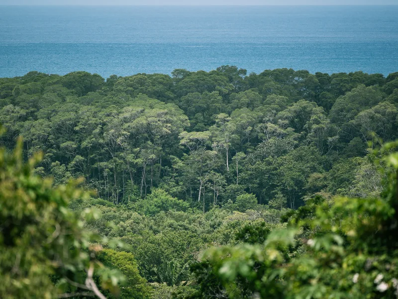 Land For Sale in Nosara, photo 3