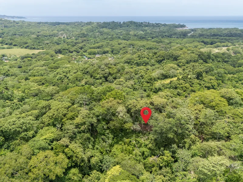 Land For Sale in Nosara, photo 5