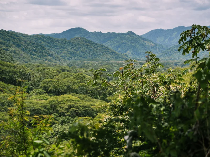 Land For Sale in Nosara, photo 7