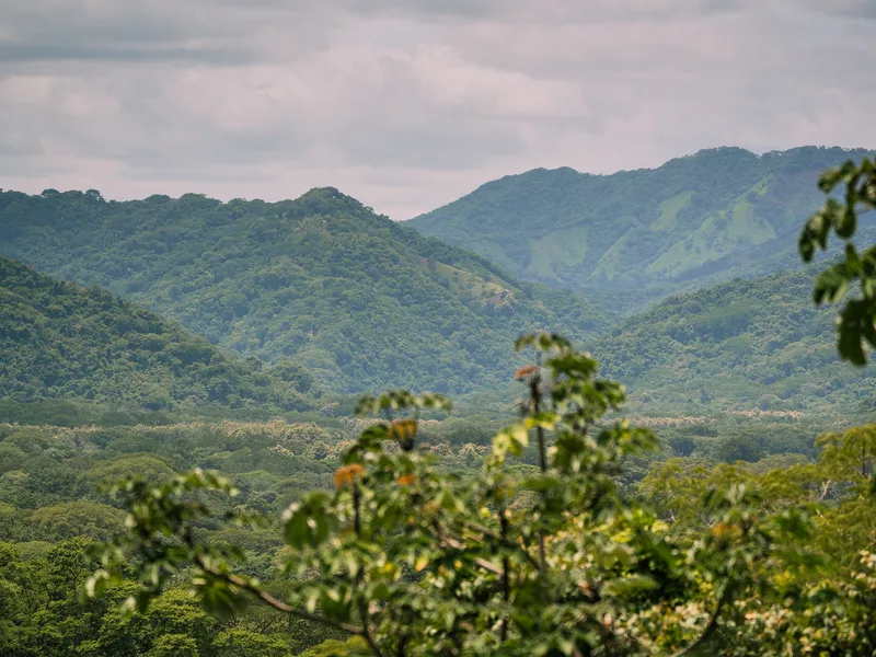 Land For Sale in Nosara, photo 8