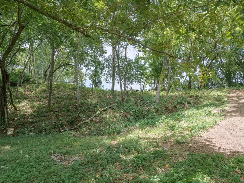 Land For Sale in Nosara, photo 10