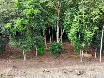 Lotes en venta en Tawal: excelente oportunidad comercial y residencial, photo 4