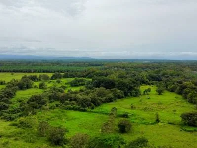 Lotes en venta en Tawal: excelente oportunidad comercial y residencial, photo 6
