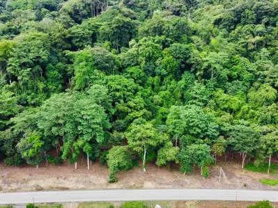 Lotes en venta en Tawal: excelente oportunidad comercial y residencial, photo 7