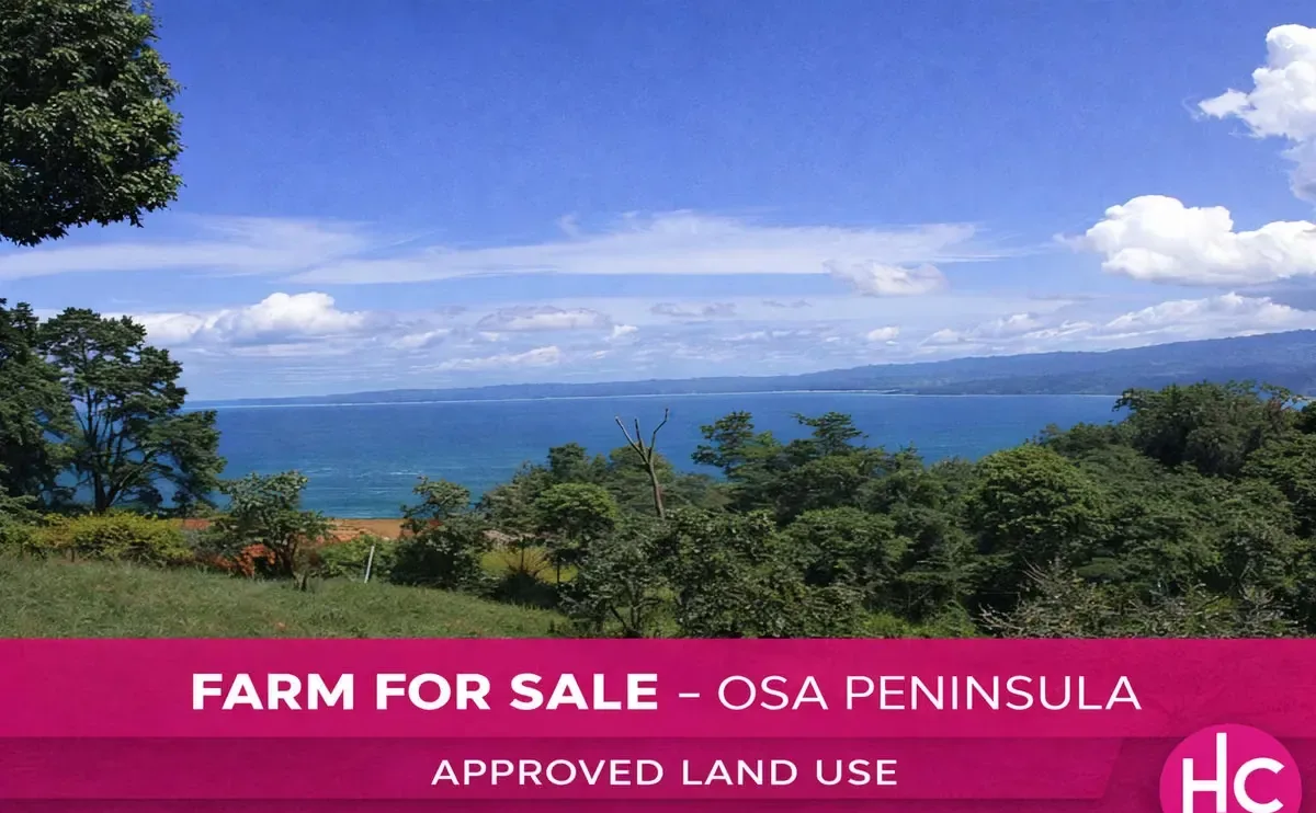 Farm for Sale in Osa Peninsula – Bahía Chal | Approved Land Use