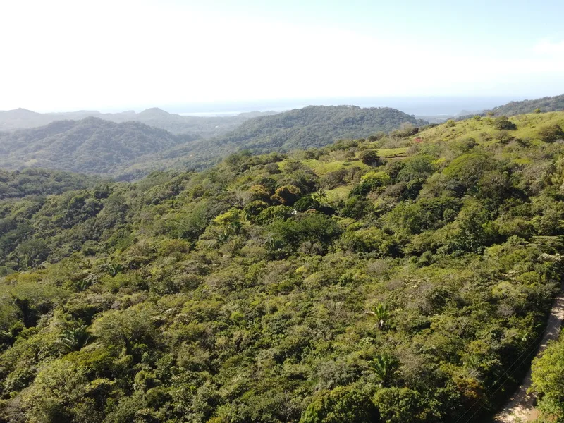 Land For Sale in Samara, photo 2