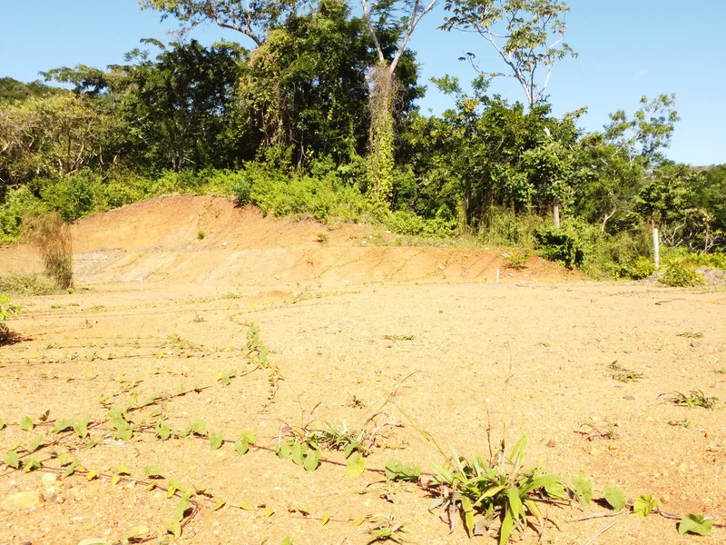 Land For Sale in Samara, photo 15