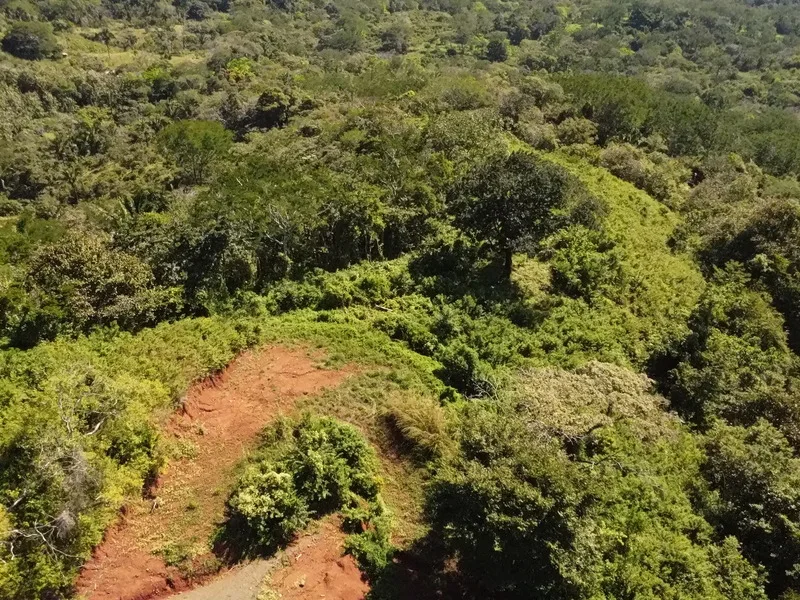 Land For Sale in Samara, photo 9