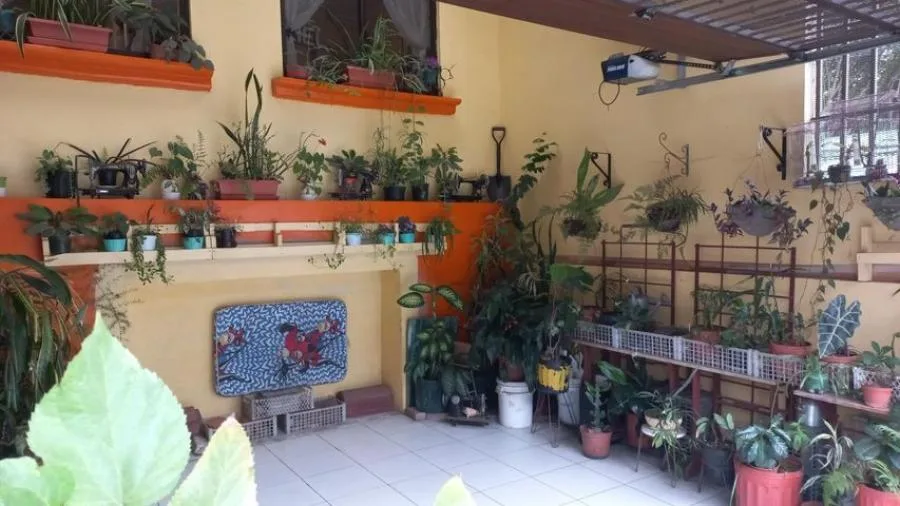 Venta de Casa en Goicochea, San José.  - Venta en Goicoechea, photo 11