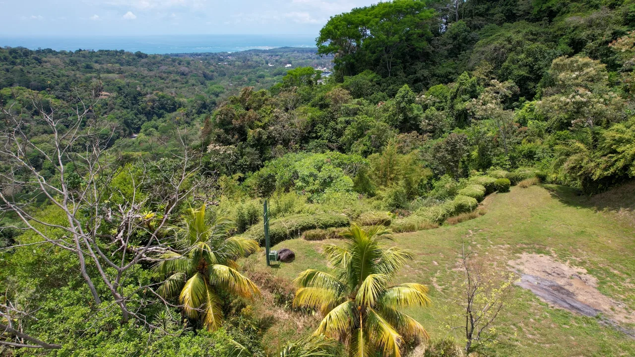 PROPERTY WITH OCEAN VIEWS, NEAR TO THE UVITA WATERFALL, IN UVITA – 3.19 ACRES, photo 17