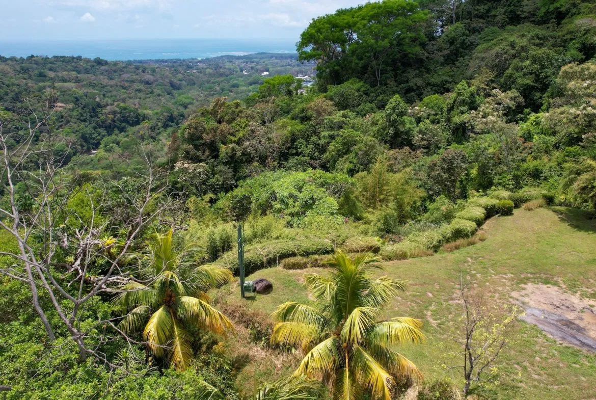 PROPERTY WITH OCEAN VIEWS, NEAR TO THE UVITA WATERFALL, IN UVITA – 3.19 ACRES, photo 18