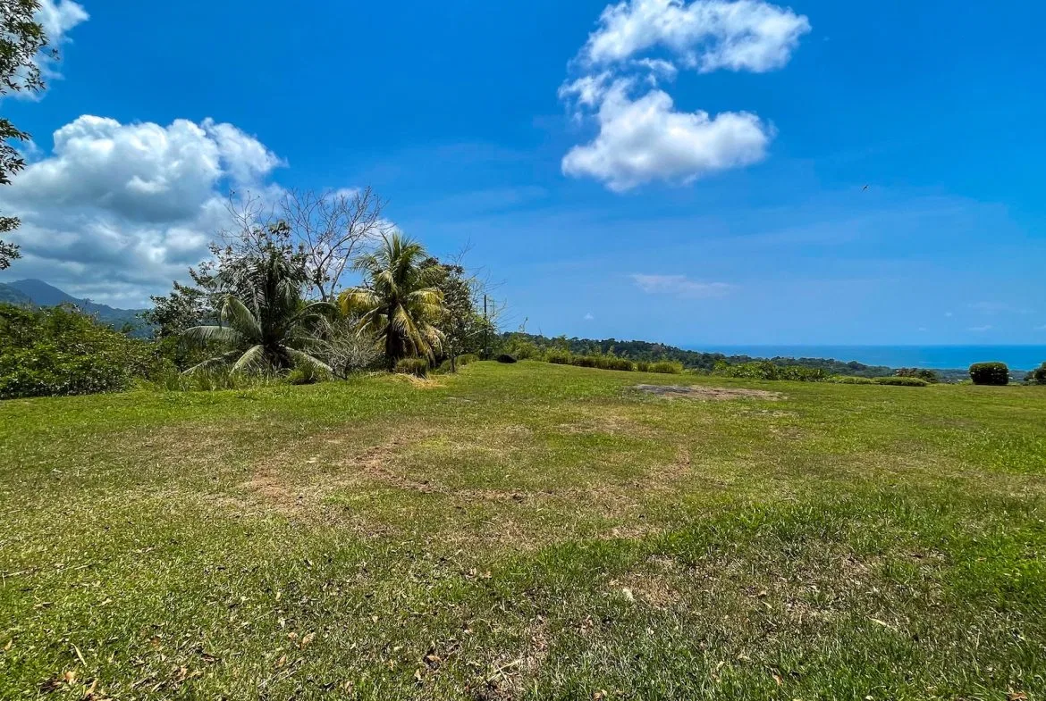 PROPERTY WITH OCEAN VIEWS, NEAR TO THE UVITA WATERFALL, IN UVITA – 3.19 ACRES, photo 22