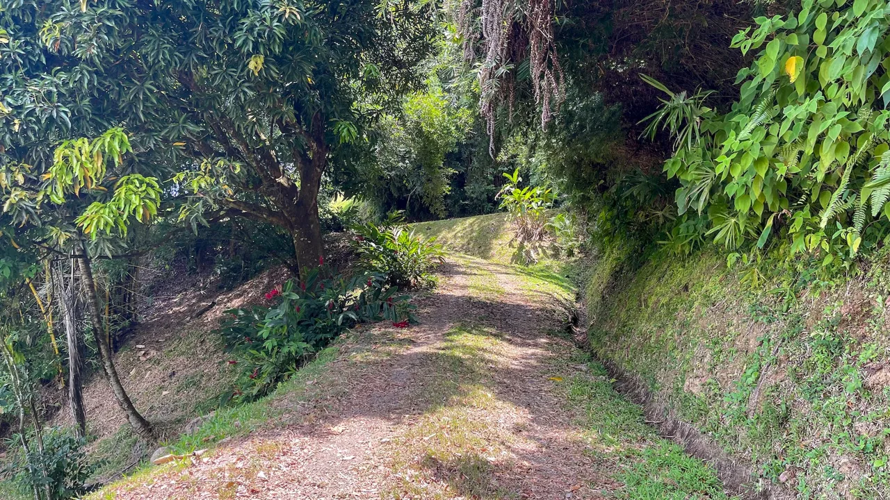 PROPERTY WITH OCEAN VIEWS, NEAR TO THE UVITA WATERFALL, IN UVITA – 3.19 ACRES, photo 7