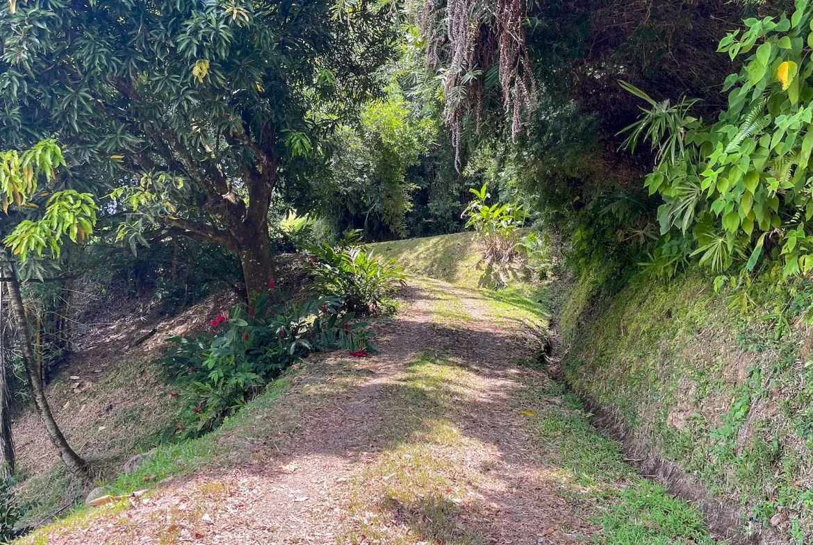 PROPERTY WITH OCEAN VIEWS, NEAR TO THE UVITA WATERFALL, IN UVITA – 3.19 ACRES, photo 8