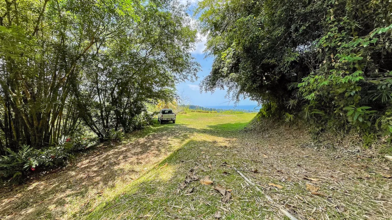 PROPERTY WITH OCEAN VIEWS, NEAR TO THE UVITA WATERFALL, IN UVITA – 3.19 ACRES, photo 9