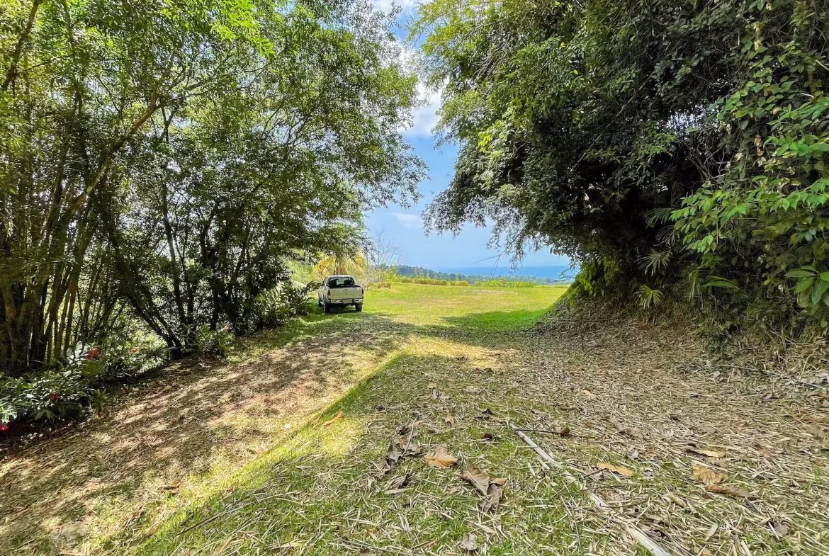 PROPERTY WITH OCEAN VIEWS, NEAR TO THE UVITA WATERFALL, IN UVITA – 3.19 ACRES, photo 10
