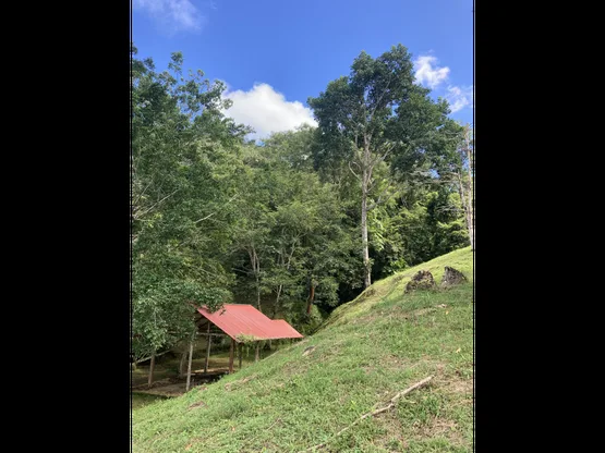 Venta de una hectárea con vivienda principal en Herradura: ¡Your Own Paradise in Herradura, Costa Rica!, photo 6