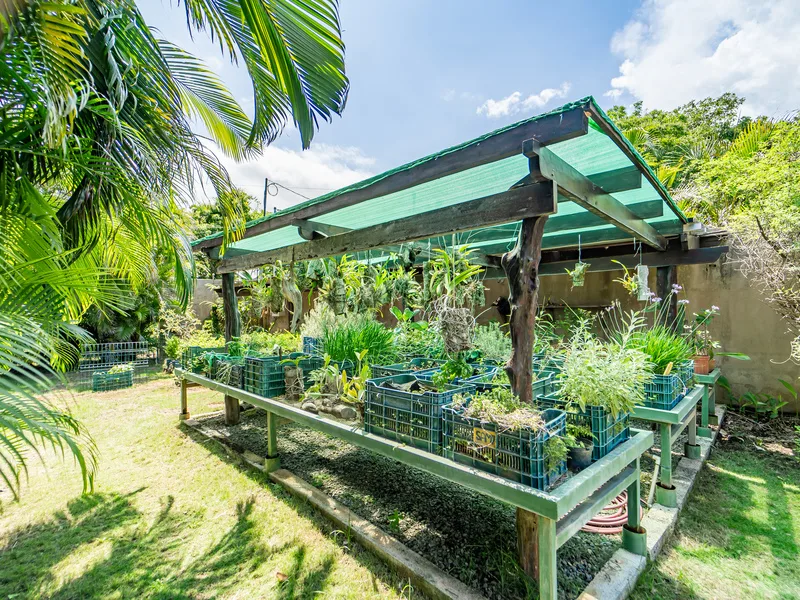 4 Bed Single Family Homes For Sale in Playa Camaronal, photo 7