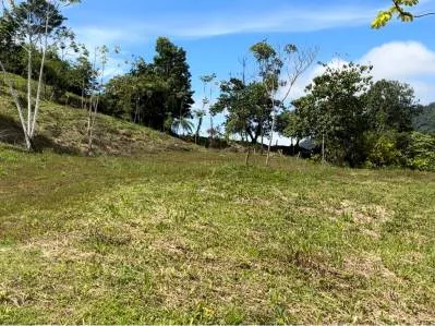 FINCA SAN JOSECITO SOBRE UVITA, 4 HECTÁREAS, ARROYO Y TERRENO UTIL, photo 2
