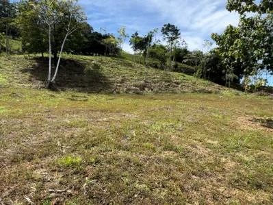 FINCA SAN JOSECITO SOBRE UVITA, 4 HECTÁREAS, ARROYO Y TERRENO UTIL, photo 3