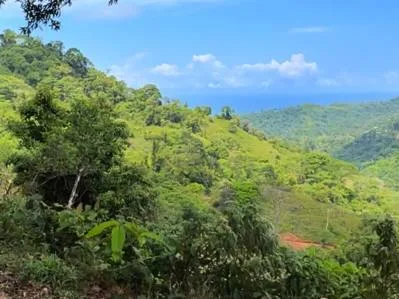 FINCA SAN JOSECITO SOBRE UVITA, 4 HECTÁREAS, ARROYO Y TERRENO UTIL, photo 4