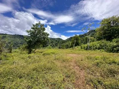 FINCA SAN JOSECITO SOBRE UVITA, 4 HECTÁREAS, ARROYO Y TERRENO UTIL, photo 5