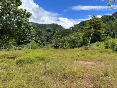 FINCA SAN JOSECITO SOBRE UVITA, 4 HECTÁREAS, ARROYO Y TERRENO UTIL, photo 6
