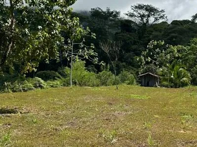 FINCA SAN JOSECITO SOBRE UVITA, 4 HECTÁREAS, ARROYO Y TERRENO UTIL, photo 7