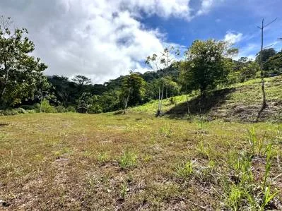 FINCA SAN JOSECITO SOBRE UVITA, 4 HECTÁREAS, ARROYO Y TERRENO UTIL, photo 8