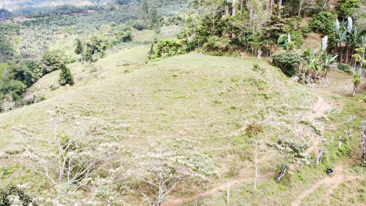 Secluded, private and peaceful large lot with amazing view, photo 11