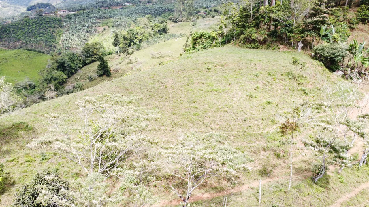 Secluded, private and peaceful large lot with amazing view, photo 13