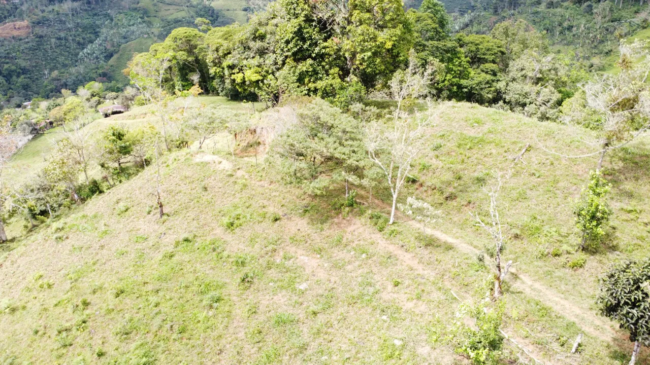 Secluded, private and peaceful large lot with amazing view, photo 14