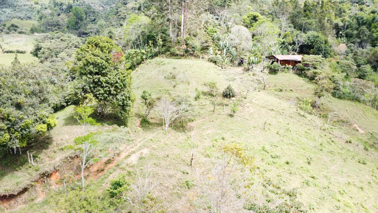 Secluded, private and peaceful large lot with amazing view, photo 15