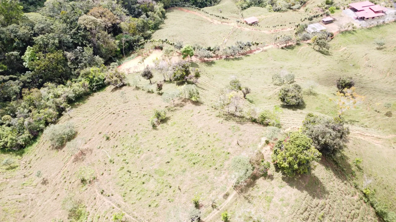 Secluded, private and peaceful large lot with amazing view, photo 7
