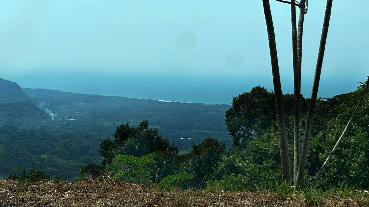 HILLS OF PORTALON, OCEAN VIEW LOT