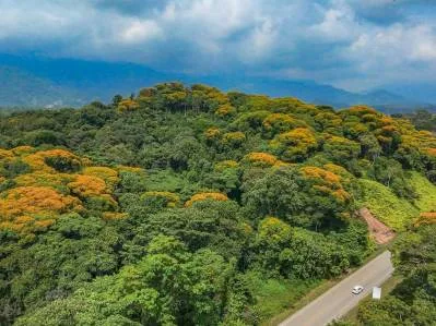 El lote más atractivo que limita con la Costanera en nuestra zona, photo 8