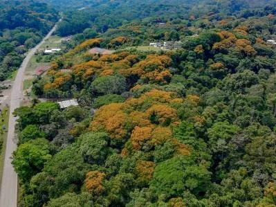 El lote más atractivo que limita con la Costanera en nuestra zona, photo 10