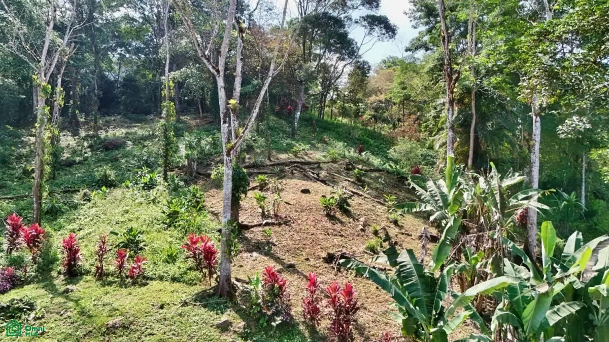 Stunning Property East of Cana Blanca near Tinamaste , Tinamaste, Perez Zeledon, San Jose, photo 2