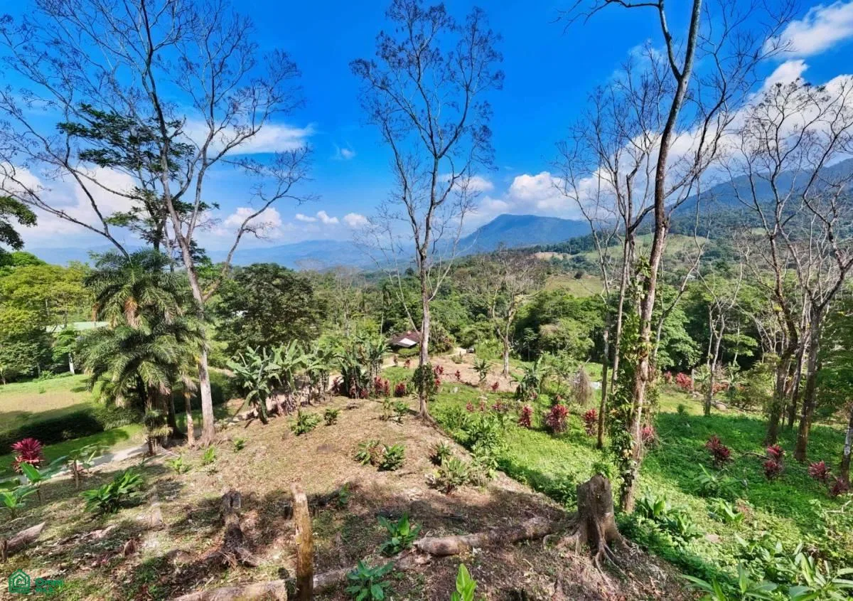 Stunning Property East of Cana Blanca near Tinamaste , Tinamaste, Perez Zeledon, San Jose, photo 11